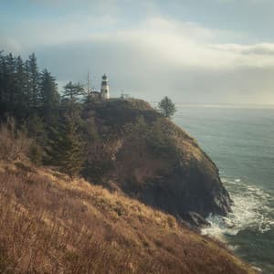 1 Ambient: Happiness Cycle - Lofi Chill