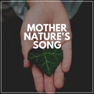 Mother Nature's Song - Nature Soundscapes