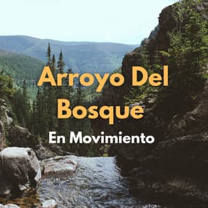 Arroyo Del Bosque En Movimiento - Paisajes sonoros de agua