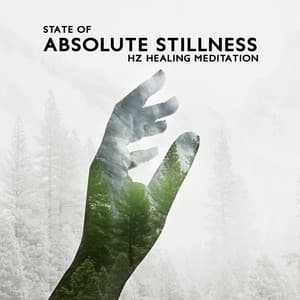 State of Absolute Stillness - Reiki Healing Consort