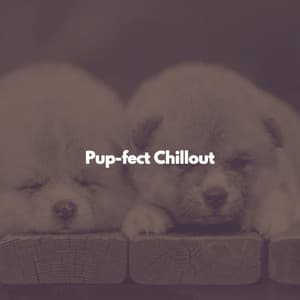 Pup-fect Chillout - Musica para Restaurantes Ambiente
