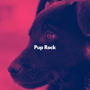 Pup Rock - Jazz Rilassante Stati D'animo