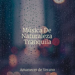 Música De Naturaleza Tranquila - Meditar Profundamente