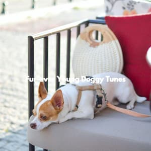Fur-ever Young Doggy Tunes - Calming Dog Jazz