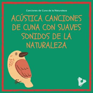 Acústica Canciones de Cuna con Suaves Sonidos de la Naturaleza - Canciones de Cuna de la Naturaleza