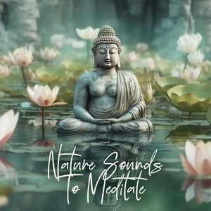 Nature Sounds To Meditate: Sleep, Yoga & Relaxation - Nature Zone