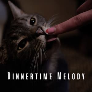 Dinnertime Melody: Chill Music for Cats Feast - Dinner Music Play List