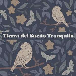 Tierra del Sueño Tranquilo: Melodías de Kalimba, Pájaros y Agua para Pequeños Sueños - Tiempo de Sueño Club