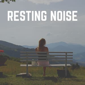 Resting Noise - Loopable White Noise