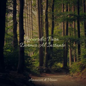 Recuerdos Para Dormir Al Instante - Meditación Guiada