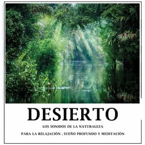 Desierto - Los Sonidos De La Naturaleza - Sonidos de la Naturaleza