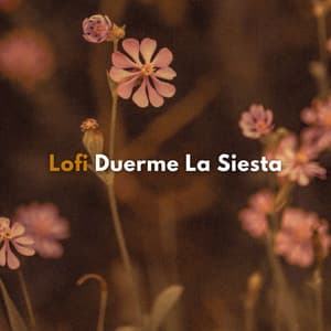 Lofi: Duerme La Siesta - Beats de baja fidelidad para dormir