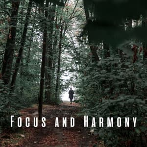 Focus and Harmony: Chill Nature with Relaxing Sounds - Nature Songs Nature Music
