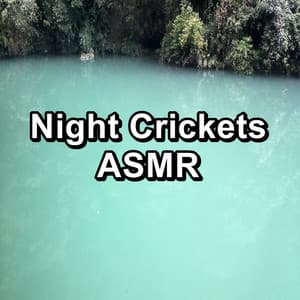Night Crickets ASMR - Crickets - Tinnitus Sleep Solution