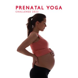 Prenatal Yoga Challenge 2022: Train for Labor - Prenatal Yoga Music Academy