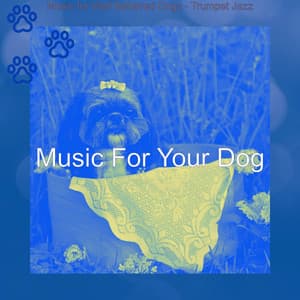 Music for Well Behaved Dogs - Trumpet Jazz - Music For Your Dog