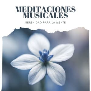 Meditaciones Musicales: Tranquilidad y Serenidad para la Mente - Serenidad Alves