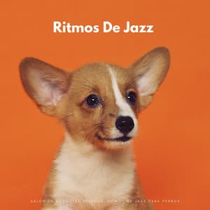 Salón De Mascotas Peludas: Ritmos De Jazz Para Perros - Jazz Instrumental Feliz