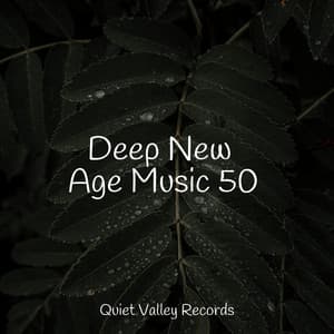 Deep New Age Music 50 - meditacou musica ambiente