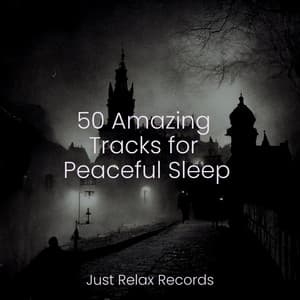 50 Amazing Tracks for Peaceful Sleep - Nature Sound Collection