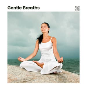Gentle Breaths - Japanese Zen Shakuhachi