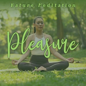 Nature Meditation Pleasure: Peaceful Relaxation Sounds - Mothers Nature Music Academy