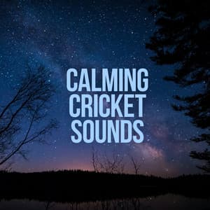 Calming Cricket Sounds - Nature on Record