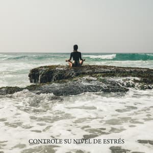 Controle su nivel de estrés: música para ayudarlo a aliviar el estrés y mantener el control mental - Antistress Music Collection