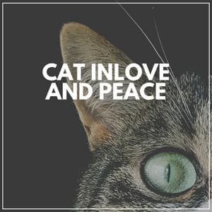 Cat Inlove and Peace - Cats Music Zone