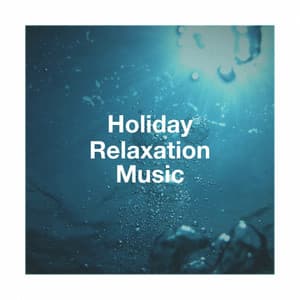 Holiday Relaxation Music - Sounds of Nature White Noise for Mindfulness, Meditation and Relaxation