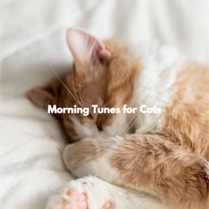 Morning Tunes for Cats - Musica per la Colazione Sala