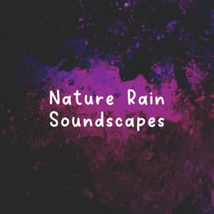 Nature Rain Soundscapes - The Nature Soundscapes