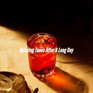 Relaxing Tunes After A Long Day - Chill Vibes