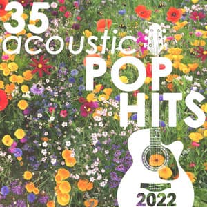 35 Acoustic Pop Hits 2022 - Guitar Tribute Players