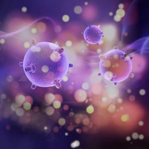 Derin Hücresel Şifa ve Vücut Yenilenmesi - Frank Teorisi