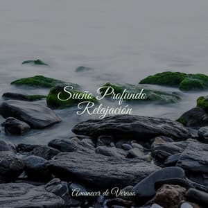 Sueño Profundo Relajación - Música Instrumental Maestro