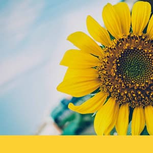 Trio Jazz - Background Music for Mental Exercises - Musik zum Lesen