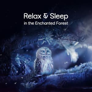 Relax & Sleep in the Enchanted Forest - Sleeping Aid Music Lullabies
