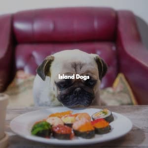 Island Dogs - Slow Jazz