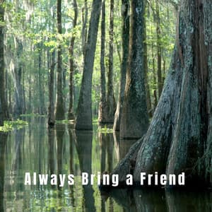 Always Bring a Friend - Ocean Sounds ACE