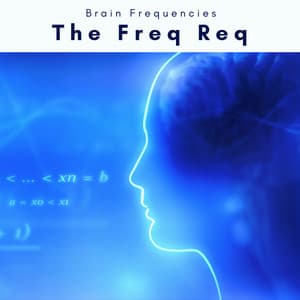 The Freq Req - Energy Orbiting