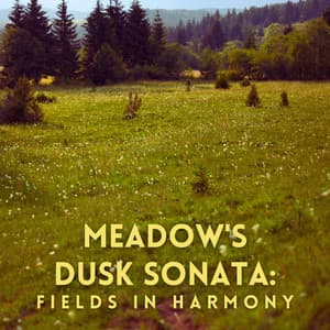 Meadow's Dusk Sonata: Fields in Harmony - Plant Frequencies Collective