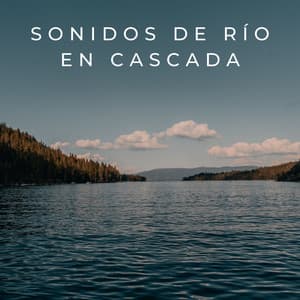 Sonidos De Río En Cascada - Sonidos de Cascada