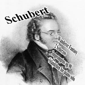 さすらい人幻想曲、即興曲op.90、他 - Franz Schubert