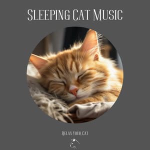 Sleeping Cat Music - Relax Your Cat