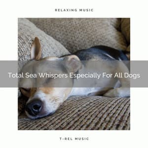 Total Sea Whispers Especially For All Dogs - Dog Relax