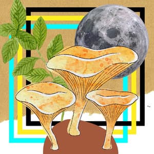 Music for Powerful Rainbows - Cafe Music Jazz Channel