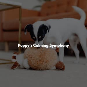 Puppy's Calming Symphony - Lazy Sunday Jazz