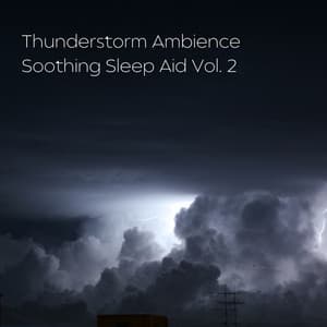 Thunderstorm Ambience Soothing Sleep Aid Vol. 2 - Sleep Dog
