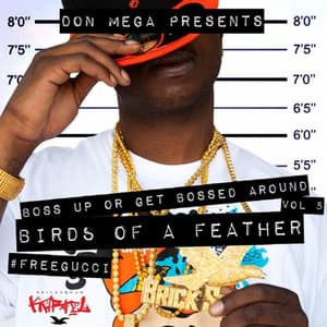 Birds of a Feather - Don Mega